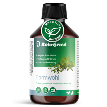 11428 Darmwohl 250ml PET Flasche RF V11 04 23 Bild1