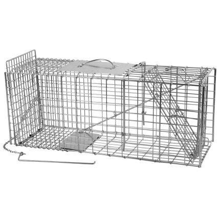 tempvk1eg dichtbij basesquare 1280x1280