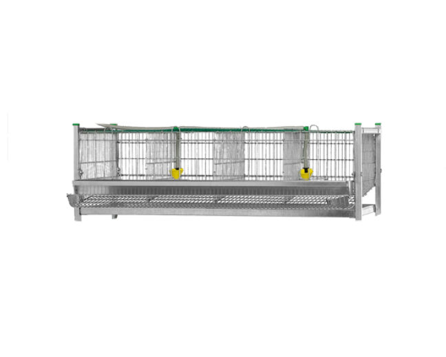 32220 1 e1715330307791 32220 1 e1715330307791