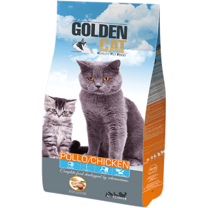 golden cat pollo