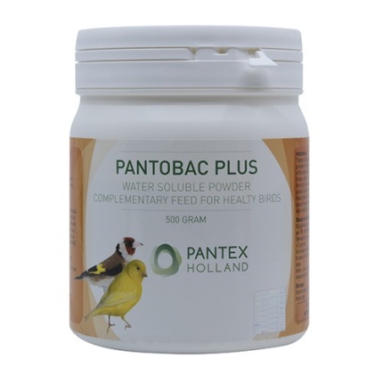 Pantex PantobacPlus 500gr MG 8559 lres WEB